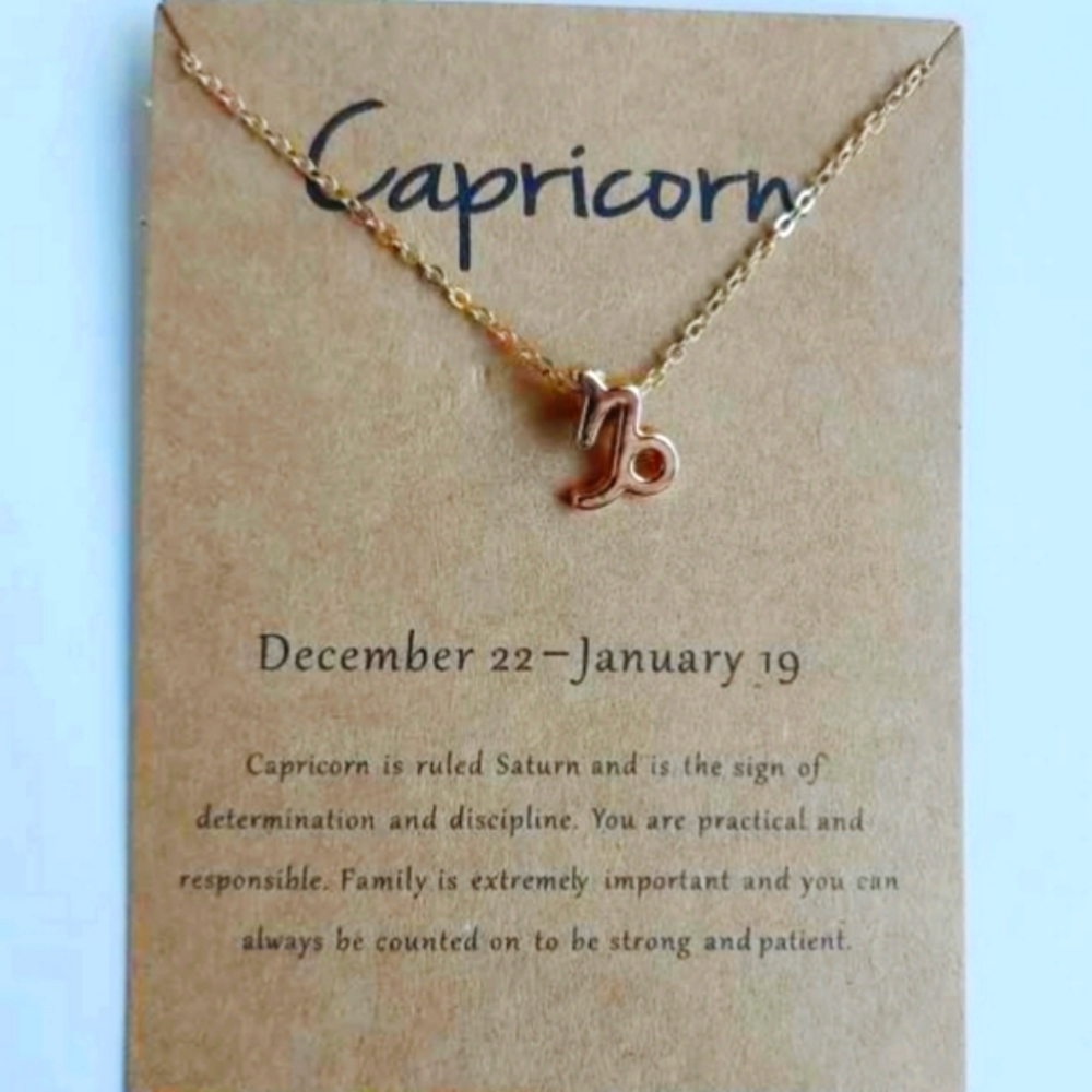 Capricorn zodiac necklace
